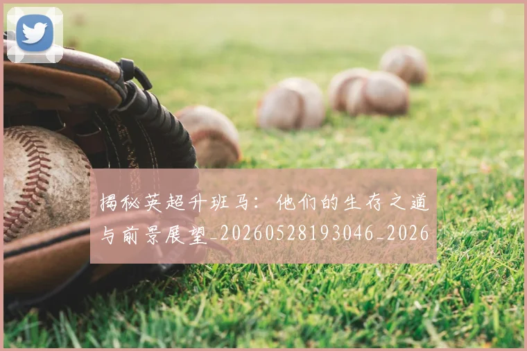 揭秘英超升班马:他们的生存之道与前景展望_20260528193046_20260609201600